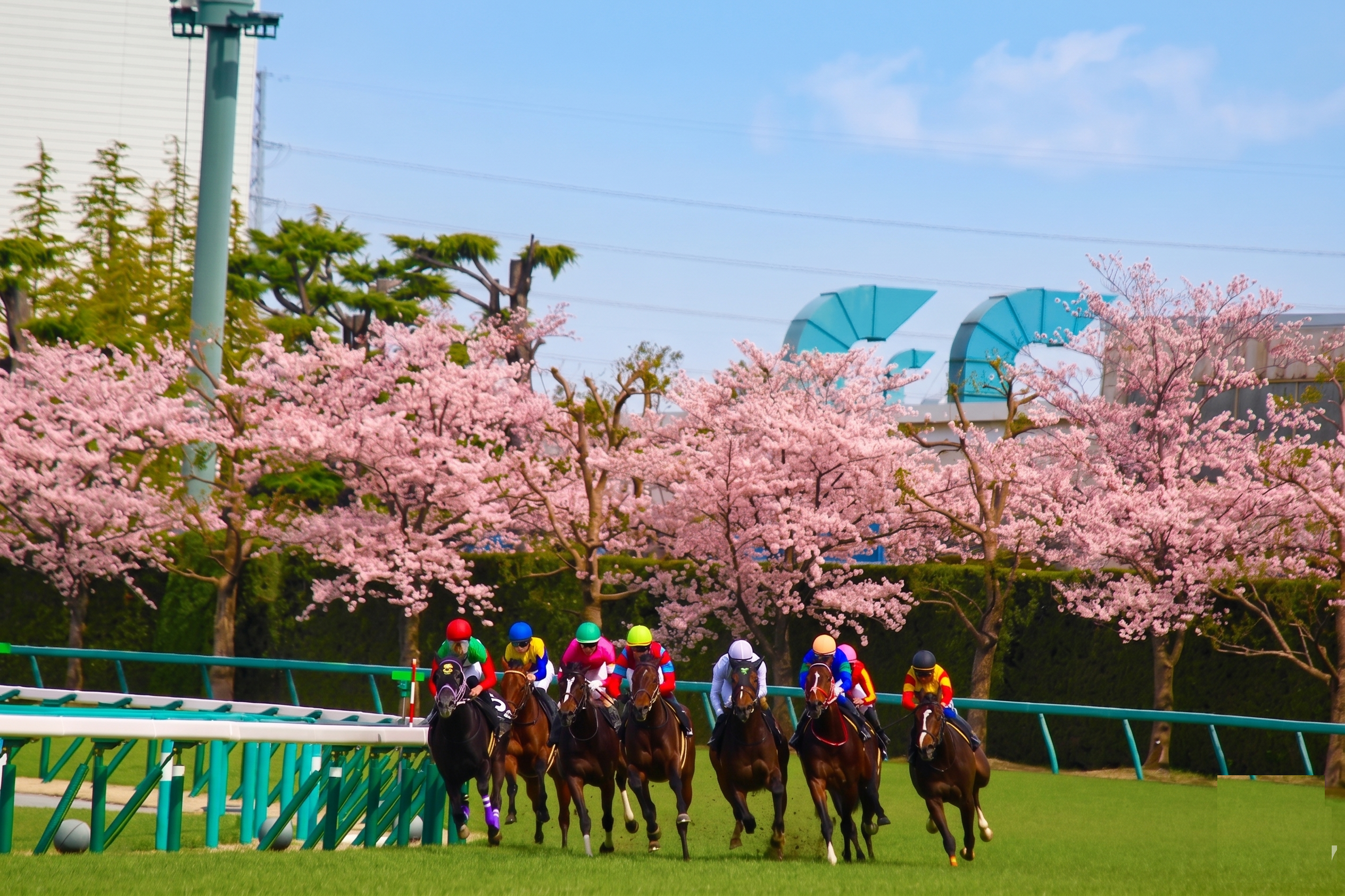 Crowded Racecourse Day